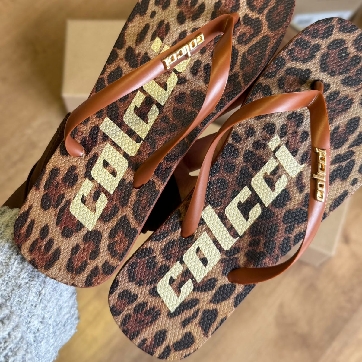 Chinelo Colcci fiji Animal Print 158.01.02450