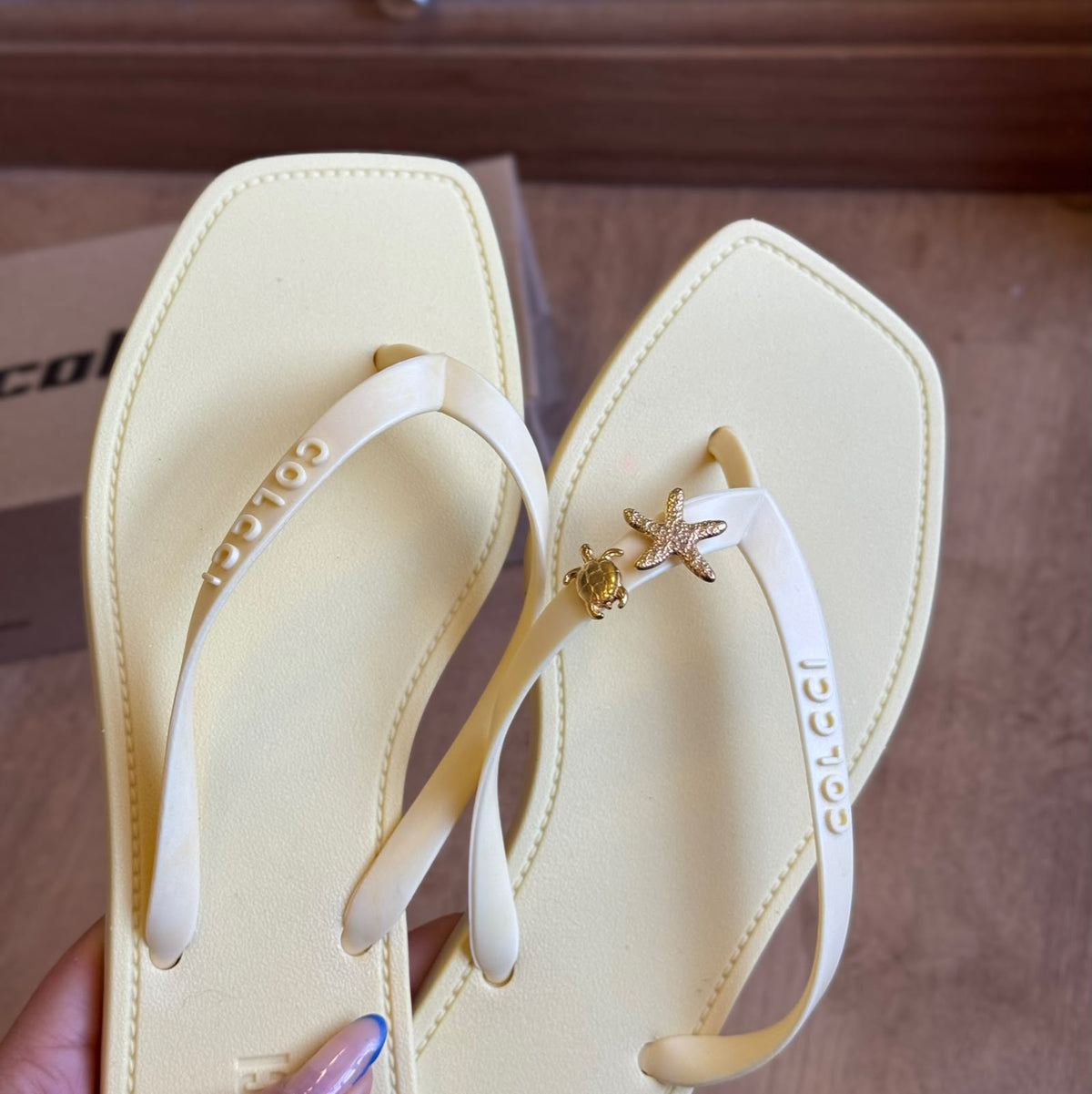 Chinelo Colcci Venice 158.01.01890 + Pin Dourado Estrela Do Mar e Tartaruga Grátis