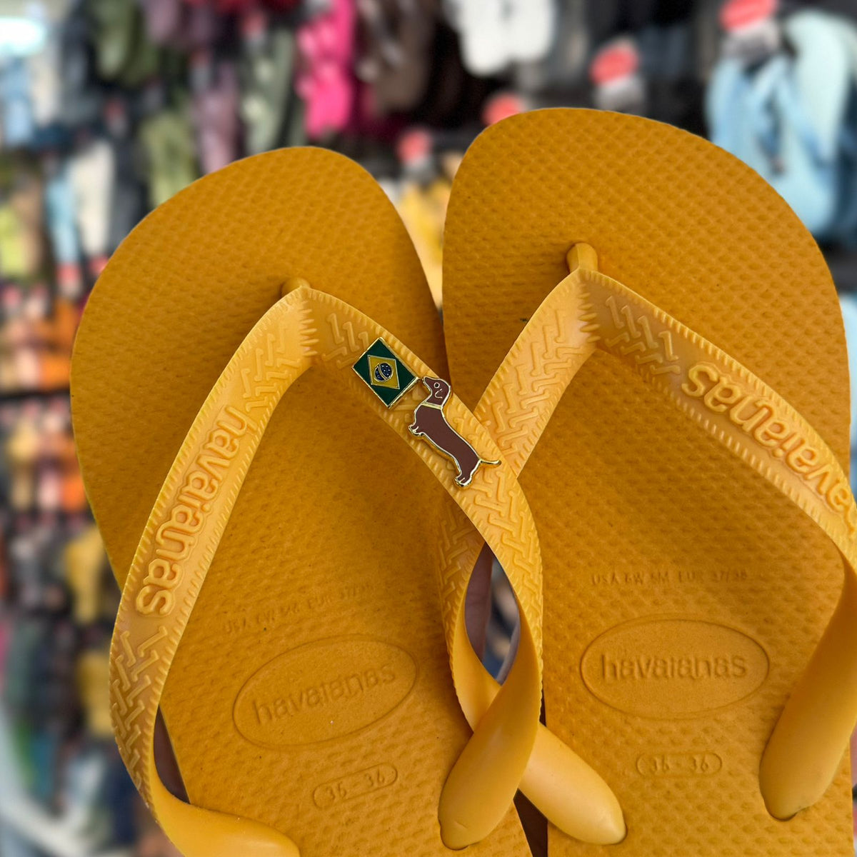Havaianas Top + Pin Brasil + Pin Cachorro Salsicha