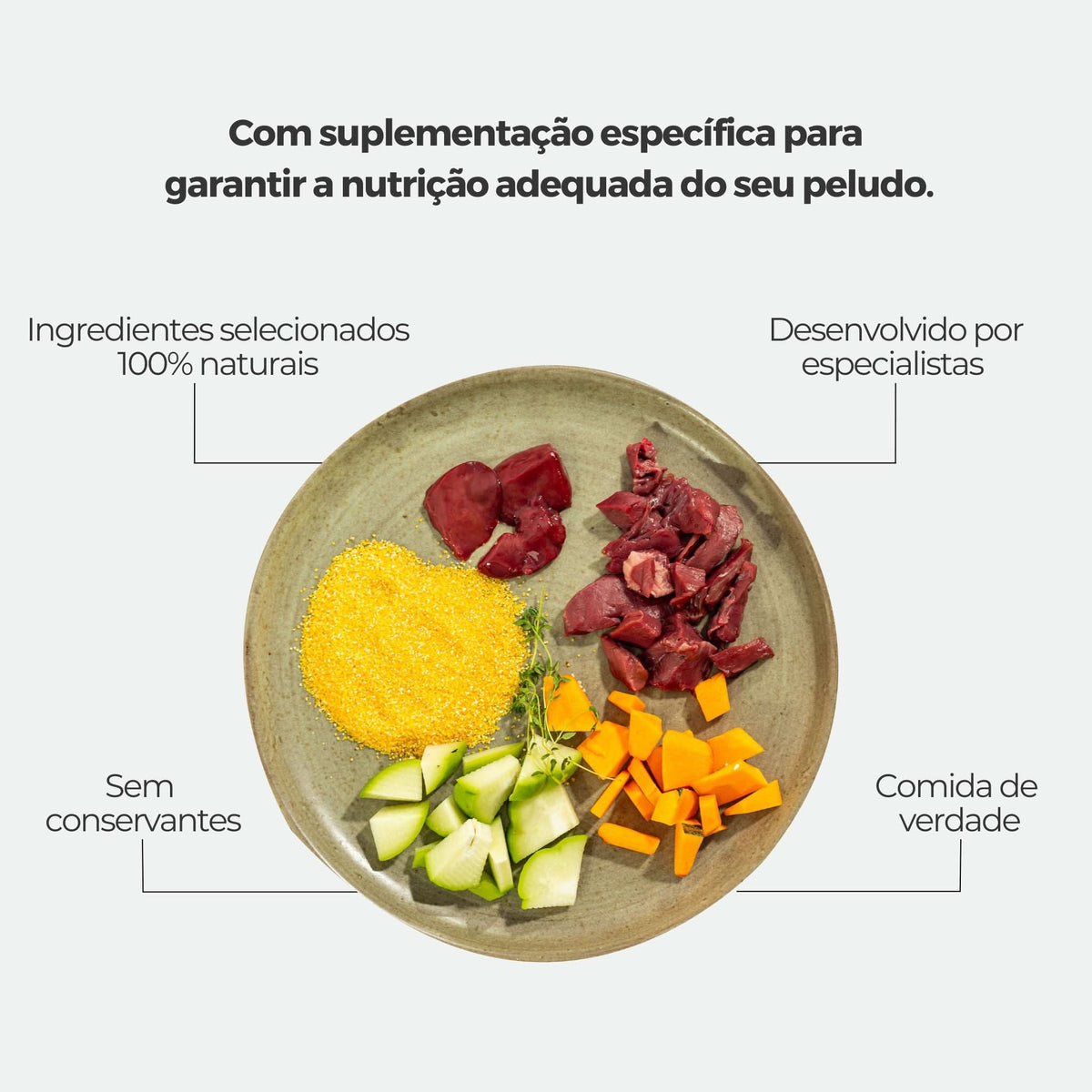 Weasy Food Adultos | Alimentação natural para cães