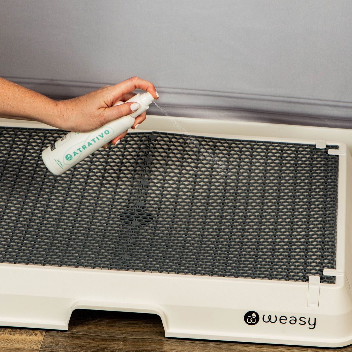 Atrativo Weasy