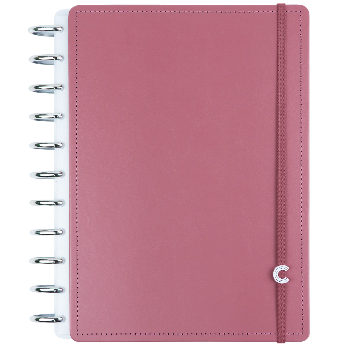 CADERNO 10 MATÉRIAS GUAVA Caderno Inteligente Lojista