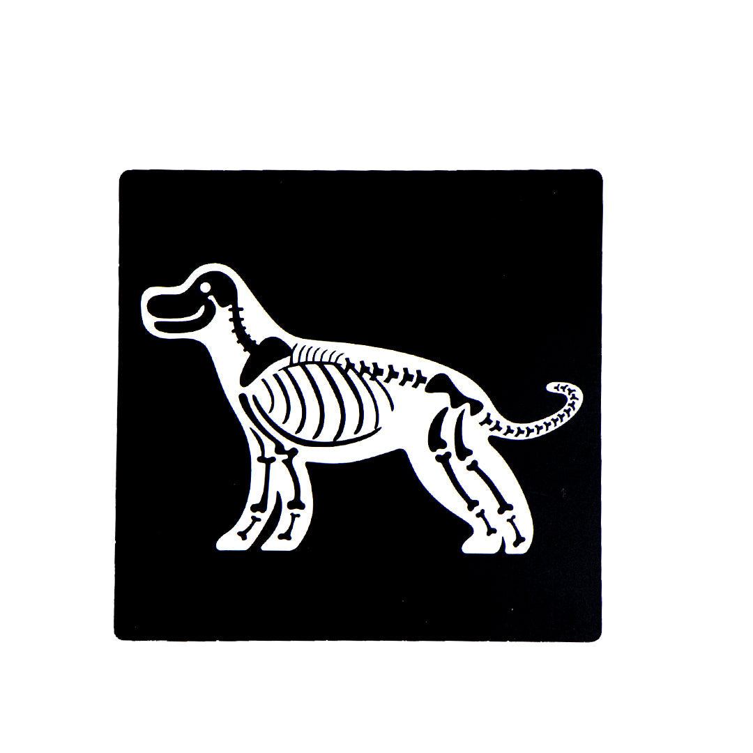 PETSHOP DE MADEIRA