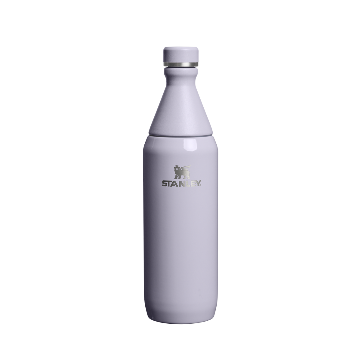 Garrafa Térmica Slim Bottle Purple Dust | 591ml