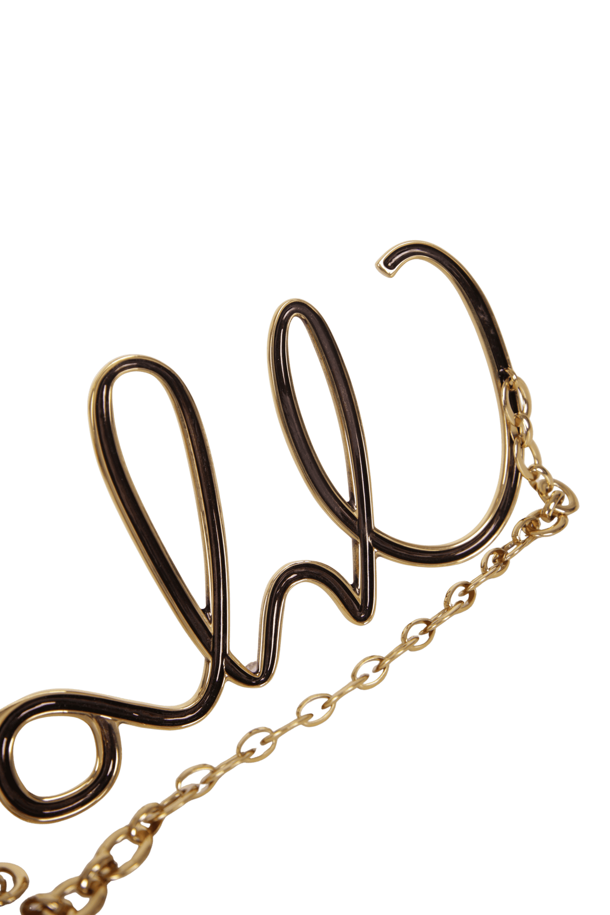 THE CHLOÉ ICONIC BELT 100