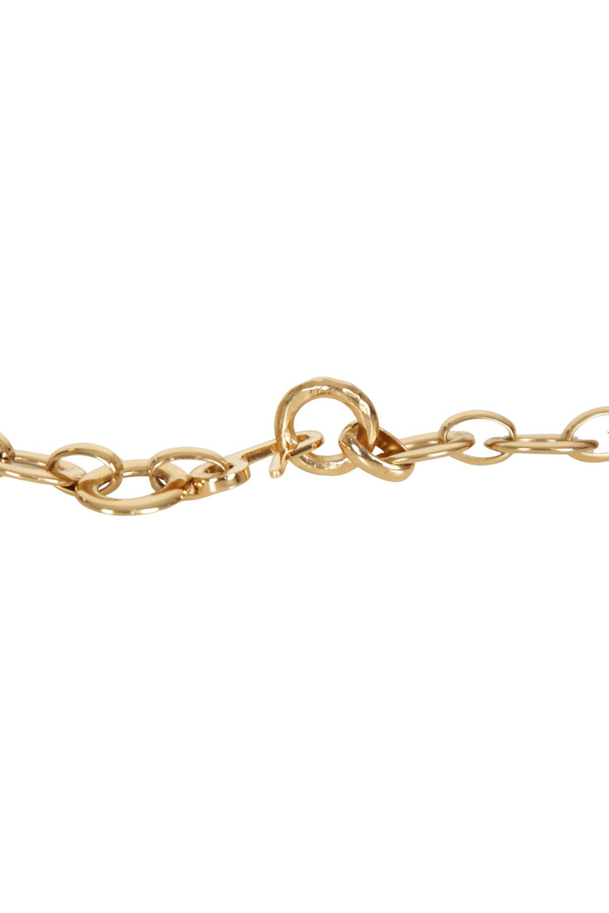 THE CHLOÉ ICONIC BELT 100
