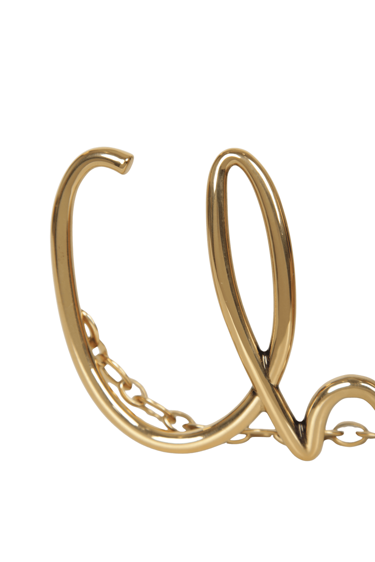 THE CHLOÉ ICONIC BELT 100