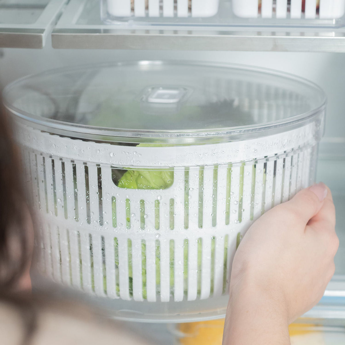 secador de saladas sendo colocado na geladeira com alfaces dentro