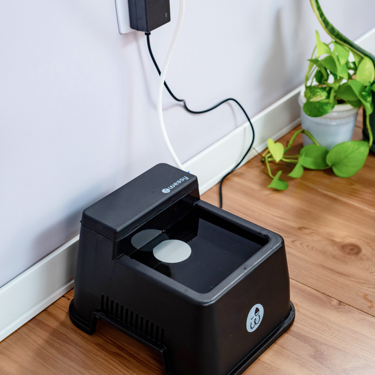 Weasy Oásis e Oásis Ice